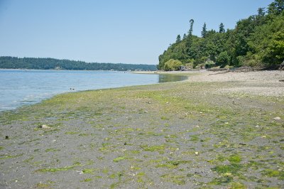 Beach at low tide looking North