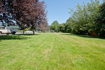 Yard looking North