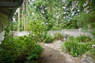 Back yard