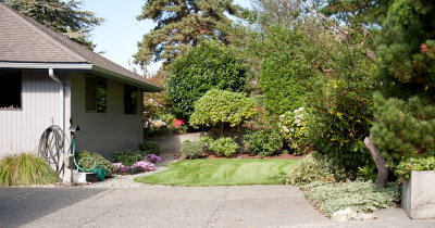Side yard