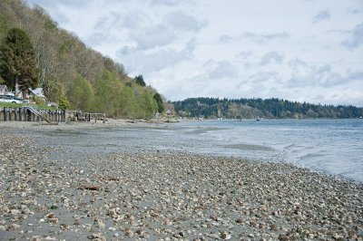 Beach at low tide