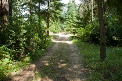 Trail around the perimeter of the property