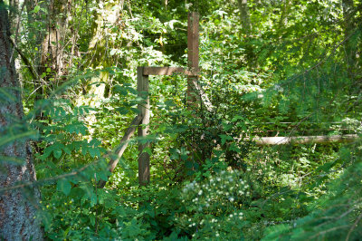 A 7 foot high deer fence surrounds most of the property