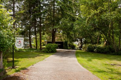 Driveway to the home