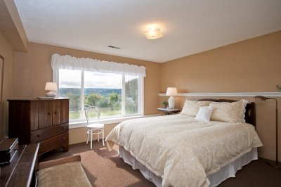 Lower level bedroom
