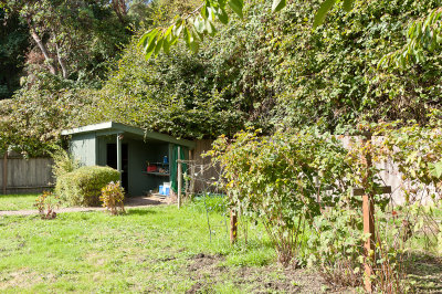 Shed in the backyard