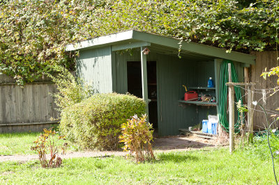 Shed in the back yard