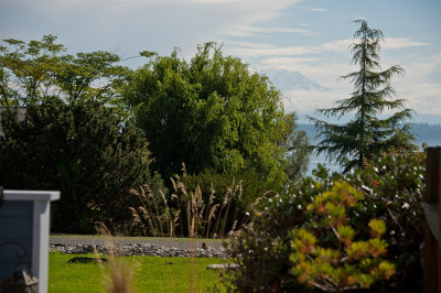 Here is Mt. Rainier