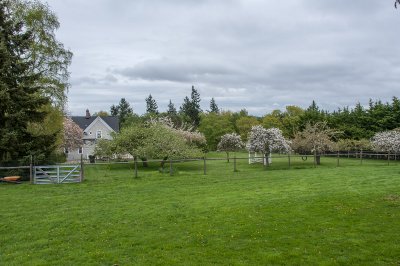 JDG_2359.jpg