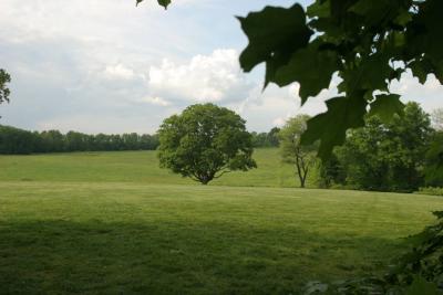 Longwood Gardens