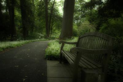 I shot this image at Longwood Gardens, and felt it needed just a bit more. I used NIK Color Efex Midnight Green filter.