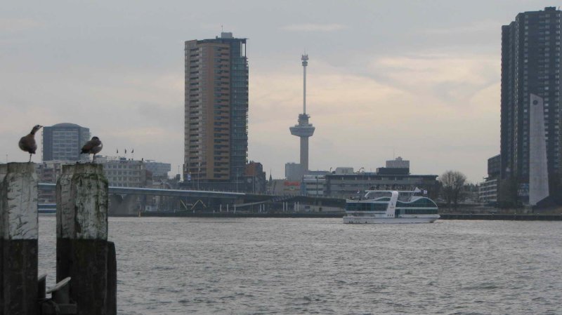 IMG_6154.JPG