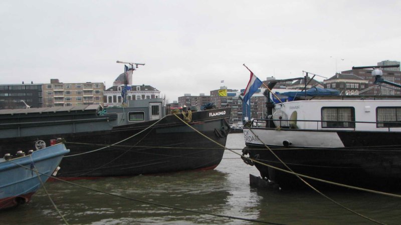 IMG_6164.JPG