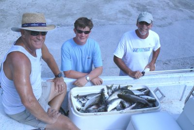 Mullett fishing 4