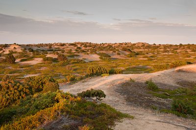 The Desert - rkenen - Anholt - Denmark