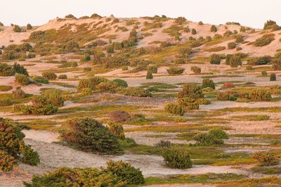 The Desert - rkenen - Anholt - Denmark