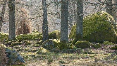 untitled-7049.jpg