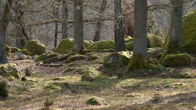 untitled-7053.jpg