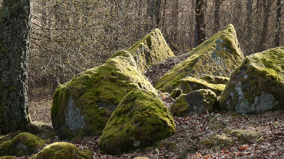 untitled-7058.jpg