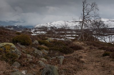 Landskaber i Setesdalen_-10.JPG