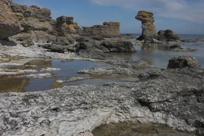 Rauker at Holmhller Gotland