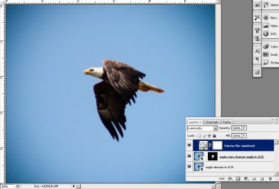 eagle-sharpening.jpg