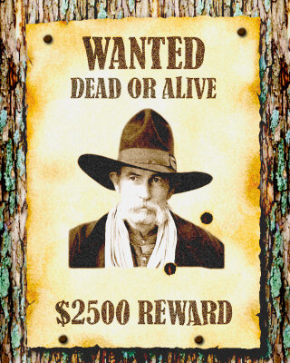 cowboy-wanted.jpg