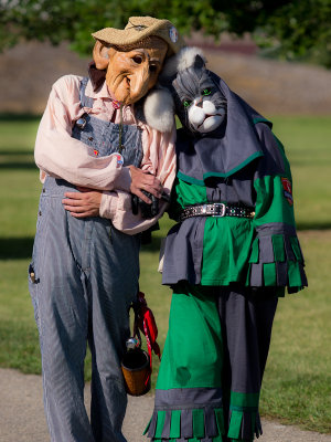 A Week of Fairs and Festivals