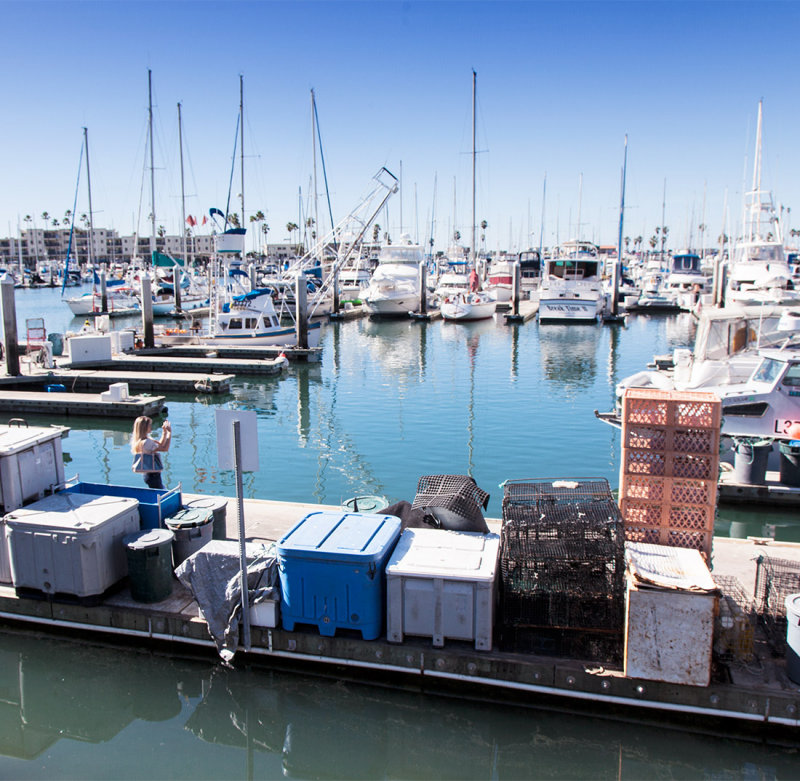 Shooting the Harbor