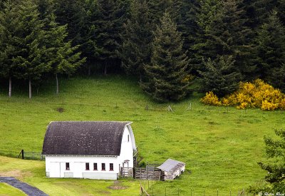 Washington Barn