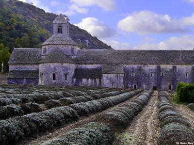 Cistercian Abbey