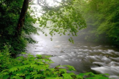 Misty River