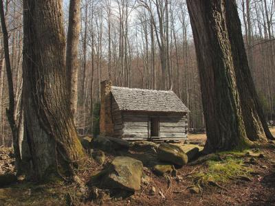 Cabin in the woods