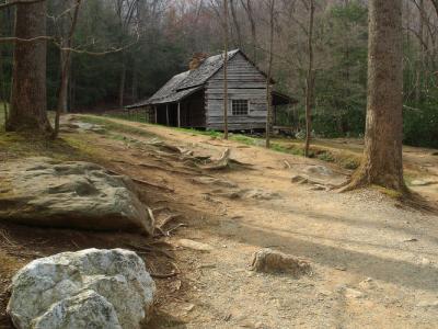 Ogle Place 3