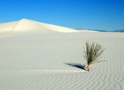 White Sands II