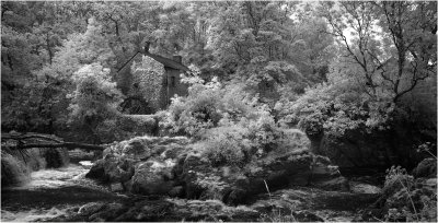 Cenarth Flour Mill