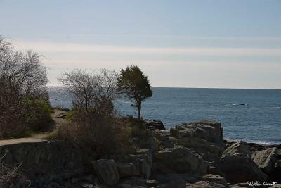 CRW_8992.jpg