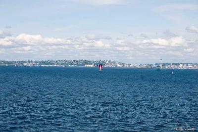 Sailboat in the Sound.