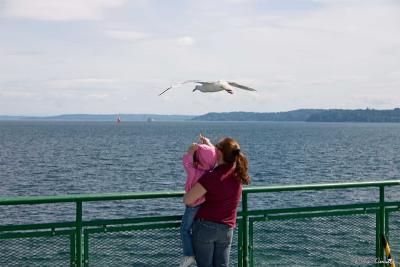 CRW_9615.jpg