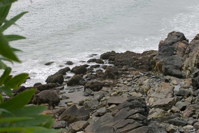 CRW_0431.jpg