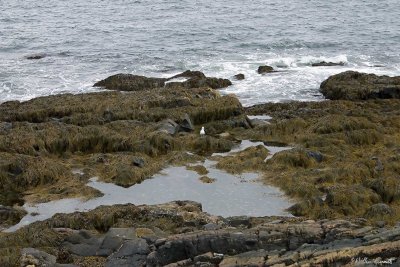 CRW_0470.jpg