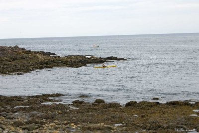 CRW_0490.jpg