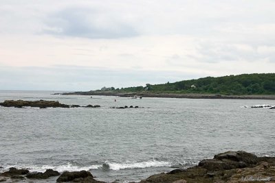 CRW_0493.jpg