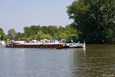 CRW_9976.jpg