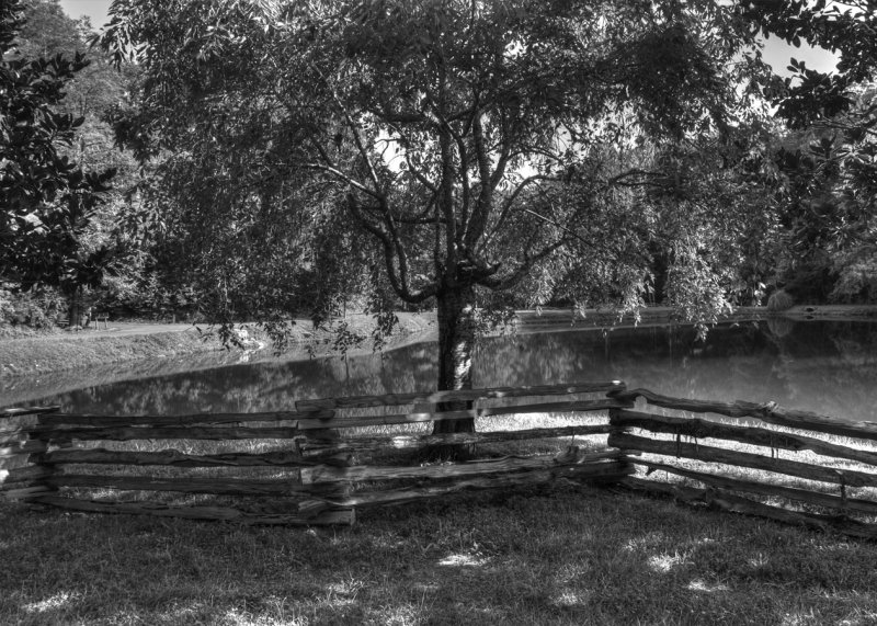 Monochrome