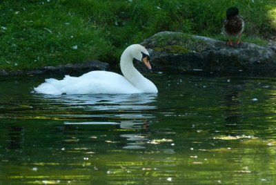 110627-11-Laval-Centre de la Nature.jpg