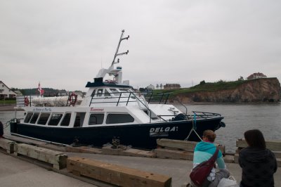 g4/33/475133/3/136507916.8H9m9DNd.jpg