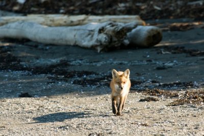 RM_110918-092-Parc du BIC.jpg