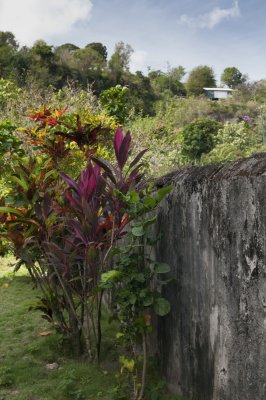 120315-077-St-Lucia-excursion.jpg