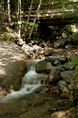 120718-08-Franconia Notch-Flume Gorge.jpg